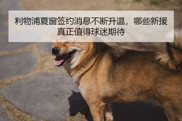 img_1783138912432_32_0_201.jpg | kaiyun